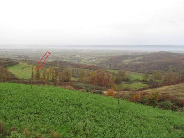 Kruje, Shitet Toke Are 5.000 m², Cmimi Fillestar 3,096,000 Leke (Koder-Thumane)