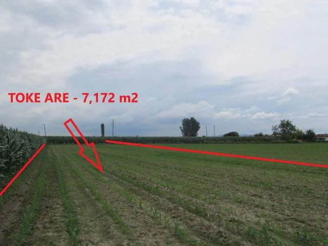 Kruje, Shiten 2 Toka Are me siperfaqe 7,172 m² & 2,249 m², (Larushk)