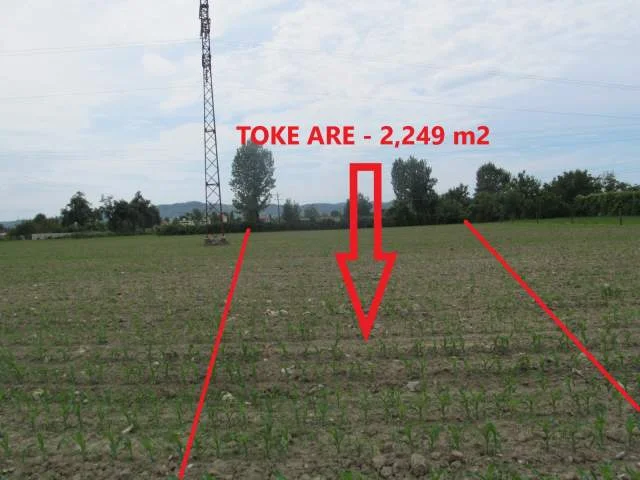 Kruje, Shiten 2 Toka Are me siperfaqe 7,172 m² & 2,249 m², (Larushk)
