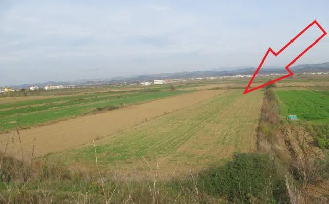 Kavaje, Luz i Vogel Shitet Toke Are 10.246 m², Cmimi Fillestar 4.590.208 Leke