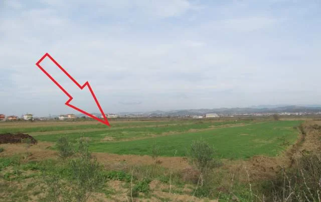 Kavaje, Luz i Vogel Shitet Toke Are 10.246 m², Cmimi Fillestar 4.590.208 Leke