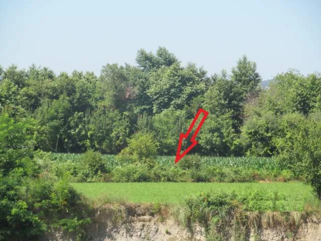 Kruje, Shitet Tokë Arë 3.700 m², Cmimi Fillestar 1,864,800 Leke (Arrameras)