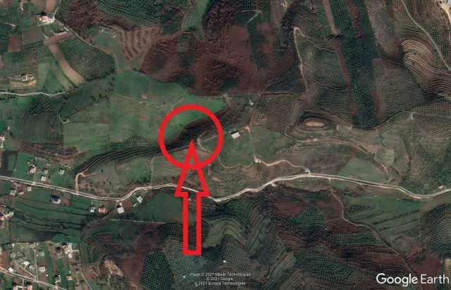 Shitet Toke Are 8.700 m², Cmimi Reference 1,000,000 Leke (Mamurras, Kurbin)