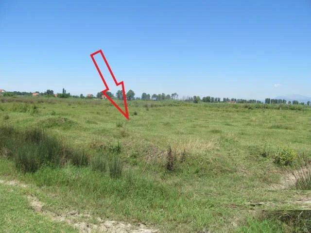 Shitet Toke Are 7.776 m², Cmimi Fillestar 2,808,000 Leke (Fushe Mahmurras)