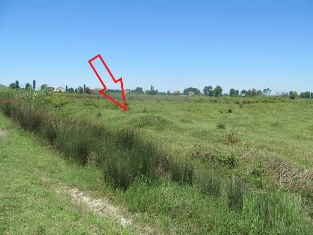 Shitet Toke Are 7.776 m², Cmimi Fillestar 2,808,000 Leke (Fushe Mahmurras)