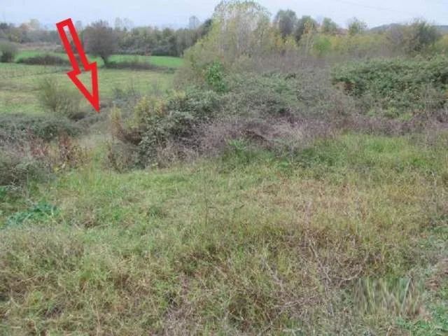 Kruje, Shitet Toke Are 900 m², Cmimi Fillestar 648,000 Leke (Verjon)