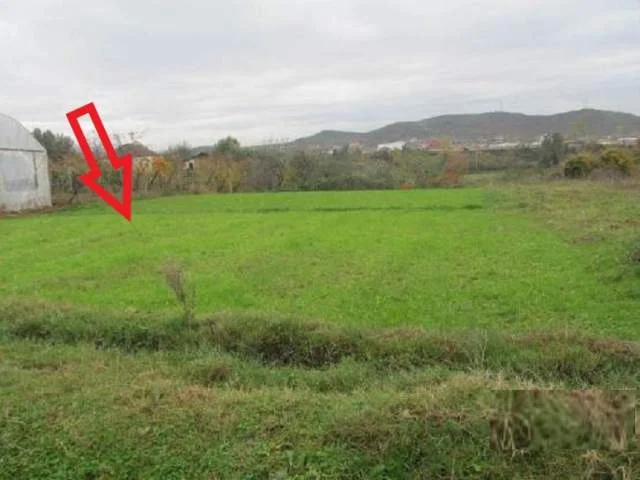 Kruje, Shitet Toke Are 1.000 m², Cmimi Referues 810.000 Leke (Verjon)