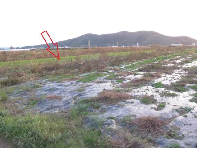 Shkoder, Kosmac Shitet Toke Are 4.796 m², Cmimi Fillestar 2,048,000 Leke