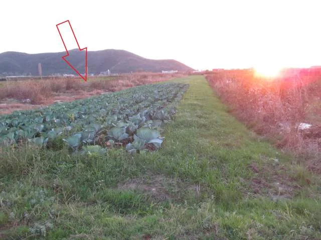 Shkoder, Kosmac Shitet Toke Are 4.796 m², Cmimi Fillestar 2,048,000 Leke