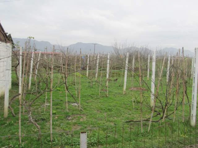 Kruje, Shitet Toke Are + Truall + Ndertese, Cmimi Fillestar 7,600,000 Leke (Budull)