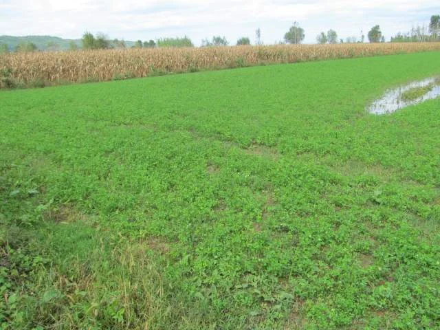 Kruje, Shitet Toke Are 3.400 m², Cmimi Fillestar 780,800 Leke