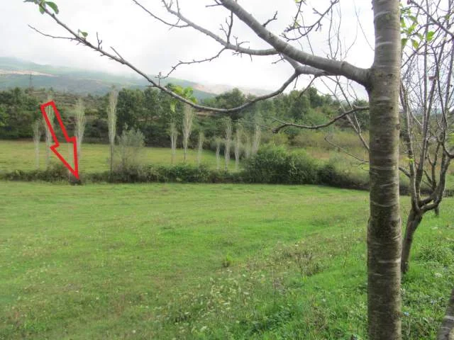 Fushe Kruje, Shitet Toke Are 3.750 m², Cmimi Fillestar 1.728.000 Leke