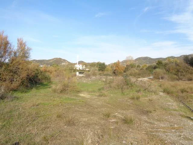 Tirane, Picalle Shitet Toke Are 3.000 m², Cmimi Fillestar 9.600.000 Leke