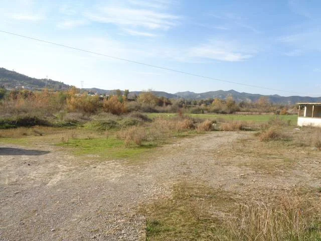 Tirane, Picalle Shitet Toke Are 3.000 m², Cmimi Fillestar 9.600.000 Leke
