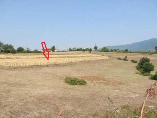 Kukes, Myc-Manez Shitet Truall 300 m² dhe Ndertese 66 m², Cmimi Fillestar 112.000 Leke