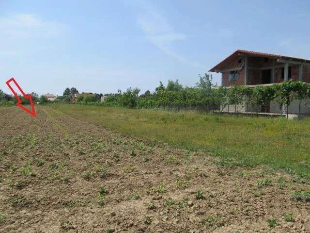 Lezhe, Shitet Toke Are 1.750 m², Cmimi Referues 8,750,000 Leke (Gryke Lumi)