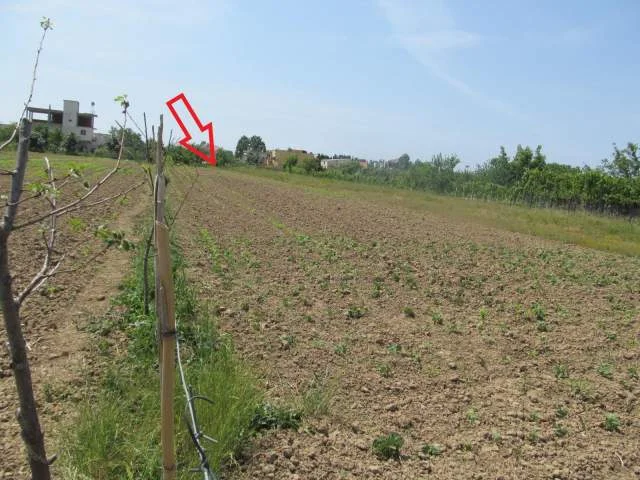 Lezhe, Shitet Toke Are 1.750 m², Cmimi Referues 8,750,000 Leke (Gryke Lumi)