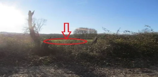 Kruje, Shitet Pemtore 1.950 m², Cmimi Fillestar 5,401,469 Leke (Larushk)