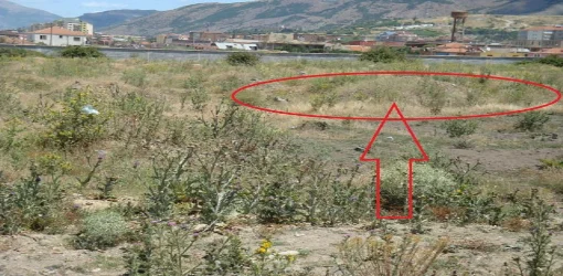 Korce, Shitet Truall 555.6 m², Cmimi Fillestar 1,140,000 Leke