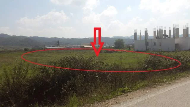 Tirane, Shitet Toke Are 4.000 m², Cmimi Referues 22.000.000 Leke (Marqinet)