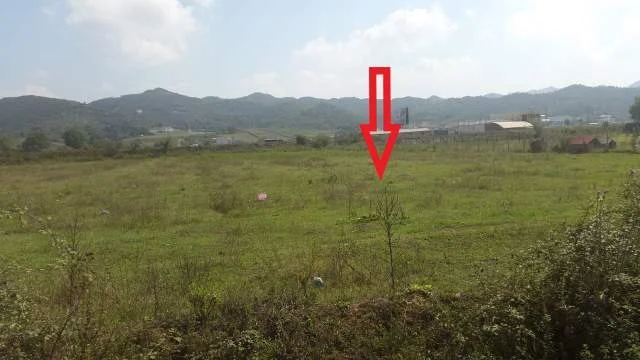 Tirane, Shitet Toke Are 4.000 m², Cmimi Referues 22.000.000 Leke (Marqinet)