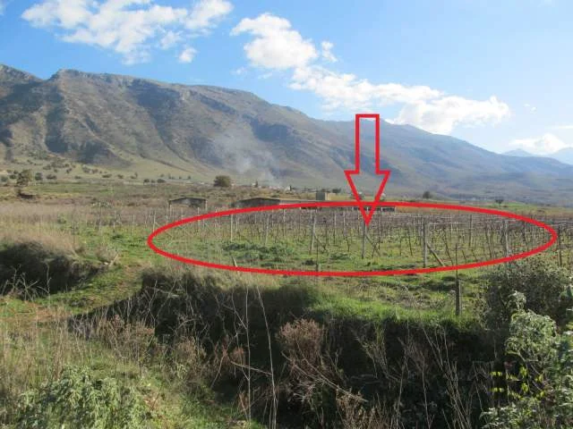 Vlore, Tragjas Shitet Toke Are 2.000 m², Cmimi Fillestar 5,120,000 Leke