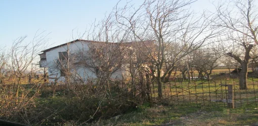 Shitet Toke Are 10,000 m², Cmimi Fillestar 4,033,800 Leke (Fush-Mamurras, Kurbin)