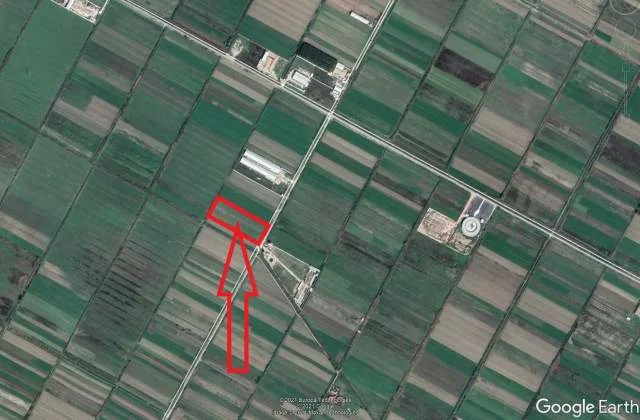 Fier, Shitet Toke Are 9.965 m², Cmimi Referues 5.500.000 Leke (Mbrostar-Ura, Fier)