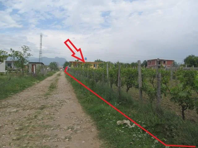 Shkoder, Bleran Shitet Truall, Ndertese dhe Pemtore, Cmimi Fillesar 1.280.000 Leke