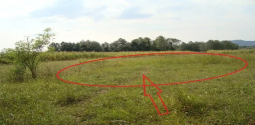 Kruje, Shitet Toke Are 3.625 m², Cmimi Fillestar 3,460,880 Leke (Nikel)