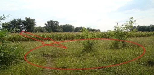 Kruje, Shitet Toke Are 3.625 m², Cmimi Fillestar 3,460,880 Leke (Nikel)