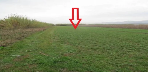 Koder-Thumane, Kruje, Shitet Toke Are me siperfaqe 6.176 m², Cmimi Fillestar 9,360,000 Leke