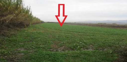 Koder-Thumane, Kruje, Shitet Toke Are me siperfaqe 6.176 m², Cmimi Fillestar 9,360,000 Leke