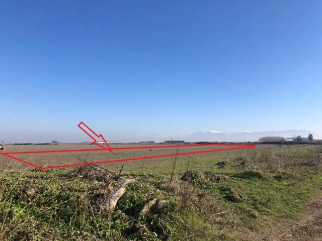 Fier, Mbrostar Ura Shitet Toke Are 6.789 m², Cmimi Referues 15,000,000 Leke