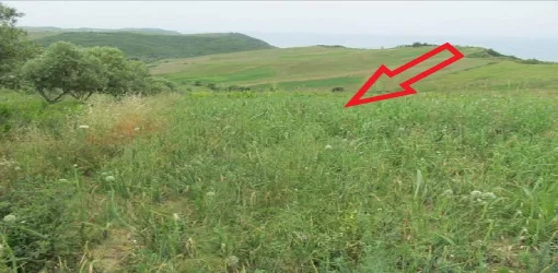 Durres, Drac Shitet Toke Are me siperfaqe 14,639 m², Cmimi Fillestar 30,000,000 Leke "Kepi i Rodonit"