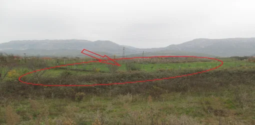 Kruje, Shitet Toke Are me siperfaqe 8,400 m², Cmimi Fillestar 6,048,000 Leke (Verjon)