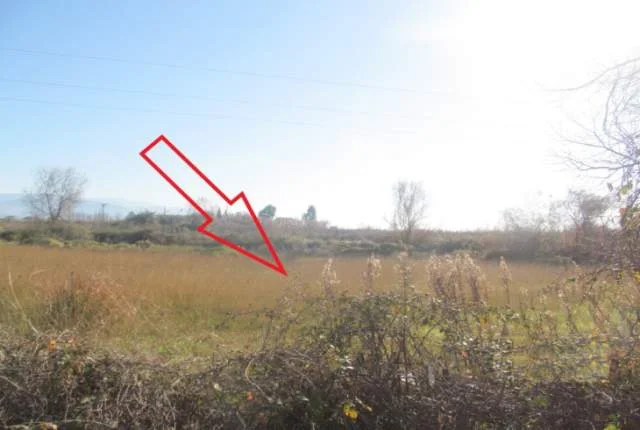 Lezhe, Shitet Tokë Arë 3,000 m², Cmimi Fillestar 5,299,200 Leke