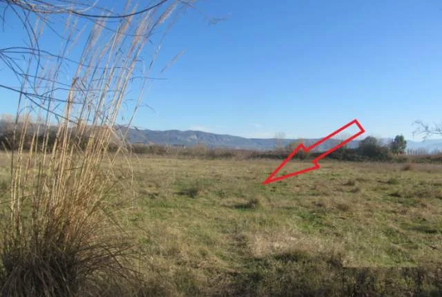 Lezhe, Shitet Tokë Arë 3,000 m², Cmimi Fillestar 5,299,200 Leke