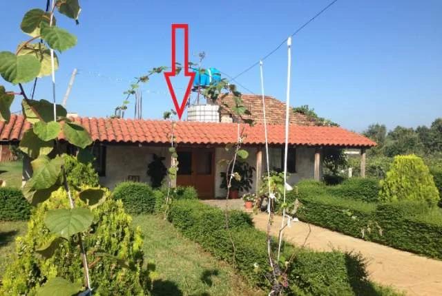 Shitet Truall dhe Ndertese 1-kat, Cmimi Fillestar 2,880,000 Leke (Lagjia Demokracia, Mahmurras)