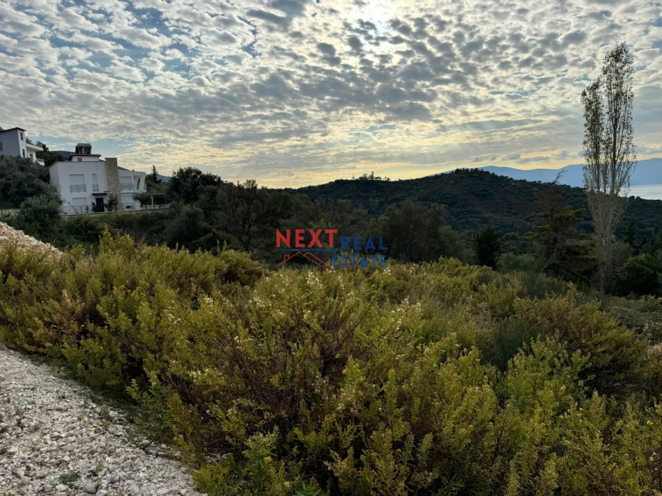 Vlore, shitet toke , 5.000 m² 440.000 € (KANINE)