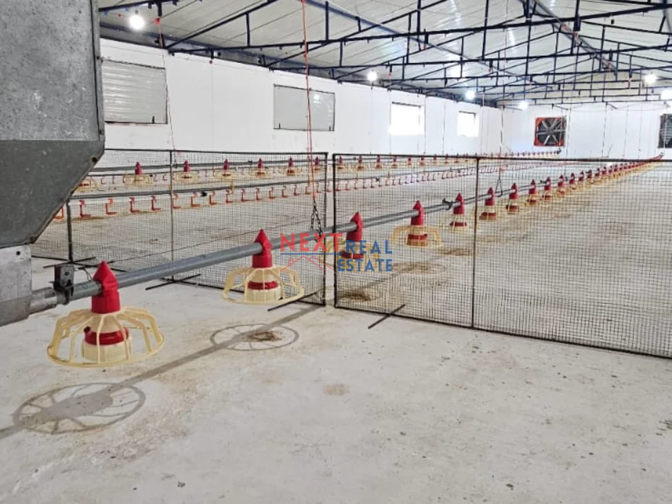 Fier, shes SHITET FERME PER PULA NE FIER 750.000 €