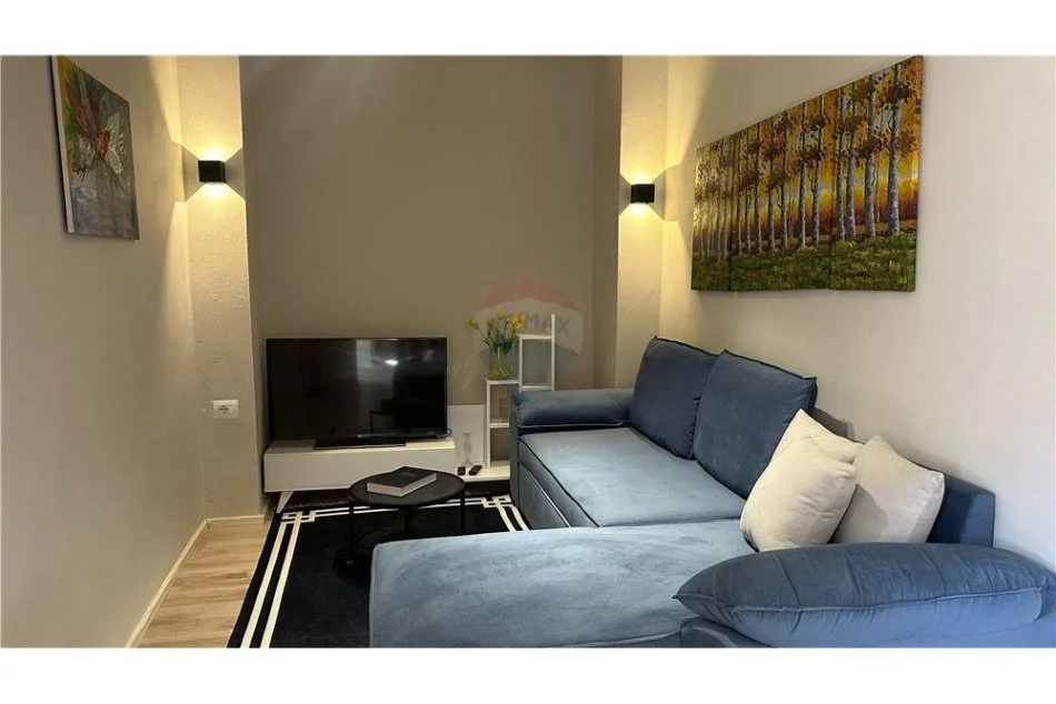Tirane, jepet me qera apartament 1+1 Kati 1, 90 m² 450 € (rruga e dibres)