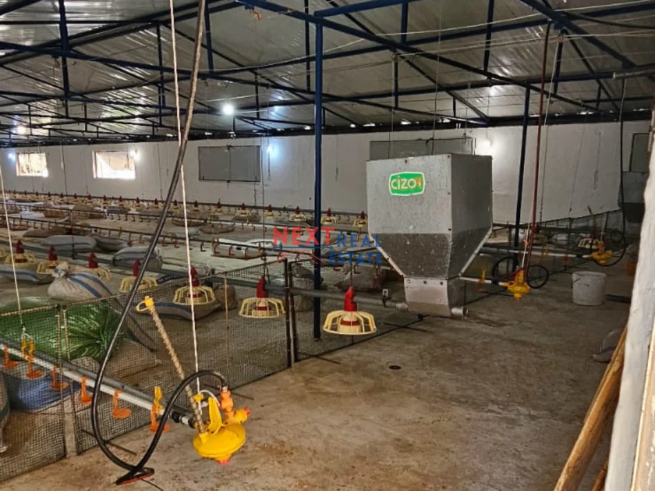 Fier, shes SHITET FERME PER PULA NE FIER 750.000 €