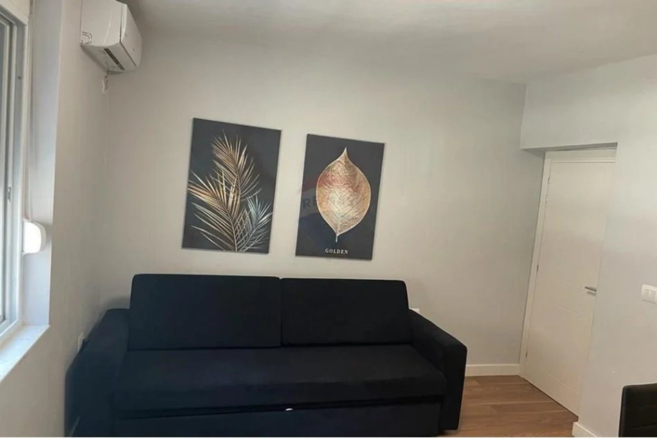 Tirane, jepet me qera 1+1 Kati 0, 60 m² 650 € (Stadiumi Dinamo, Komuna e Parisit)