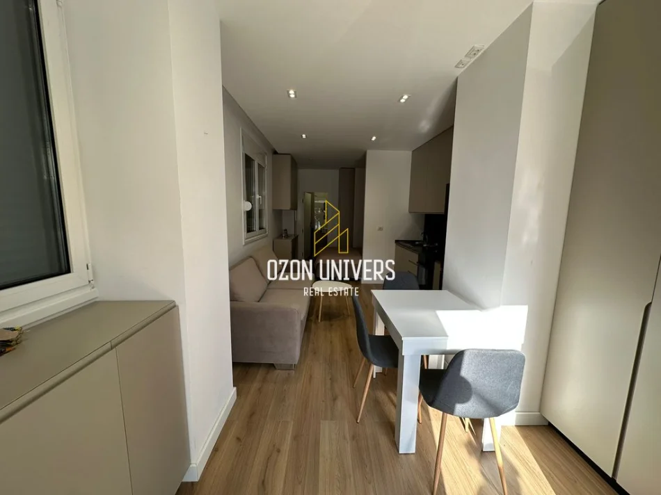 Tirane, jepet me qera apartament 1+1 Kati 0, 450 € (Rruga e Barrikadave)