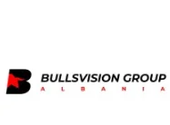 BullsVision Group