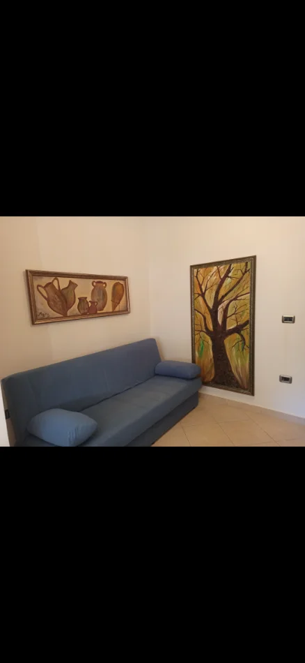Tirane, jepet me qera apartament 1+1 Kati 2, 61 m² 380 € (perballe me pallatin e T.Doshit))