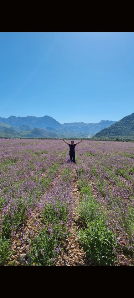 Guide en Albanie