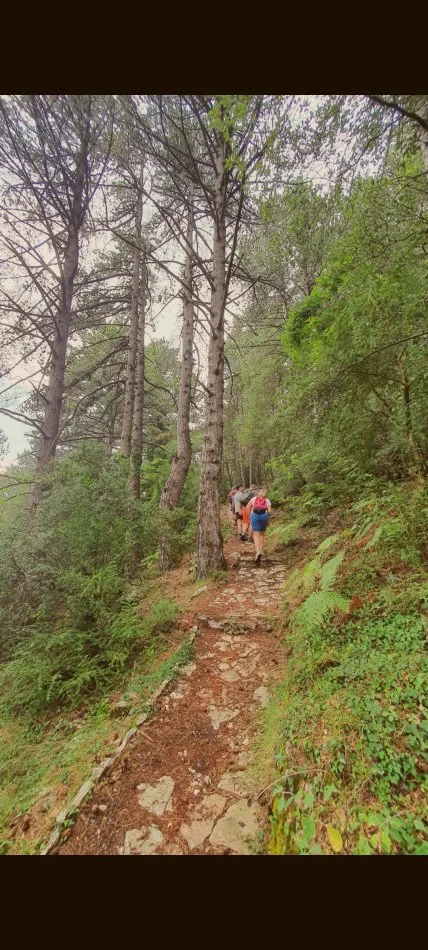 Visites guidées en Albanie