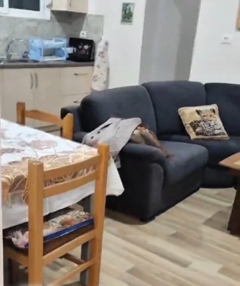 Tirane, jepet me qera apartament 2+1+Ballkon Kati 2, 100 m² 400 € 